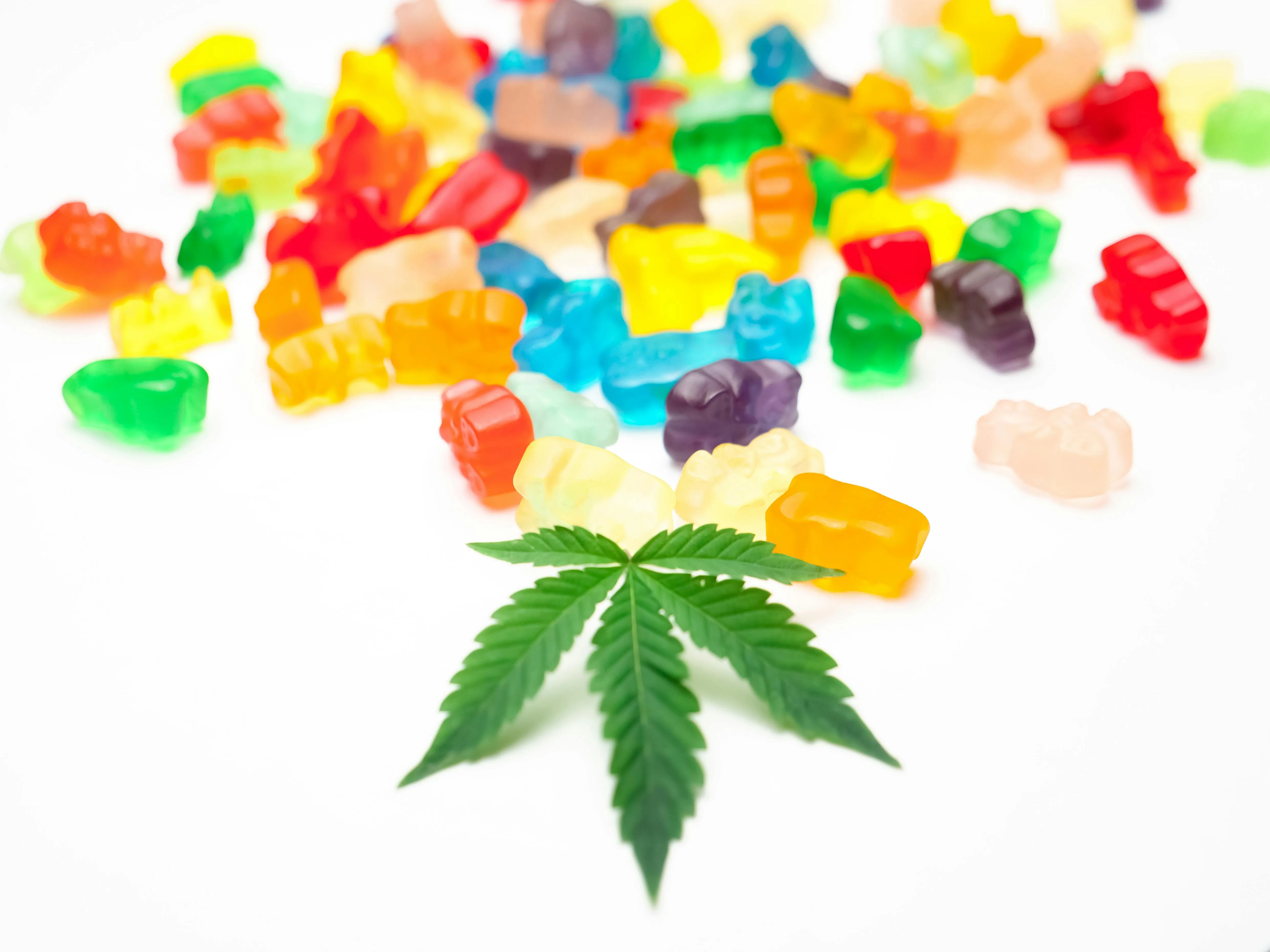 edible cannabis